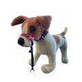 BlackDog Training Halter Medium Pink